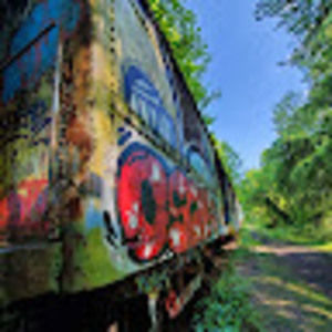 Meet your Posher, Wyatt